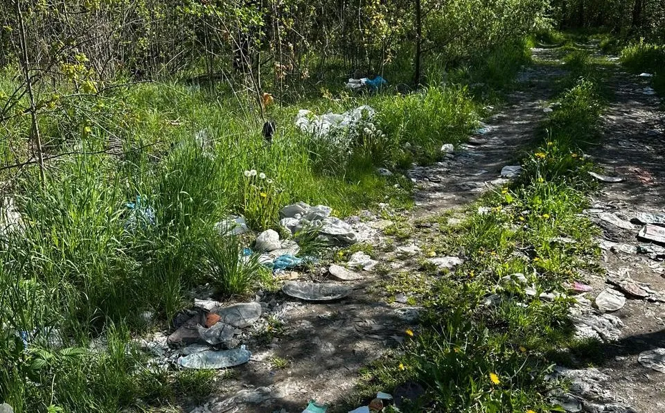 На Житомирщині вітром розносить сміття у ліс - ніхто нічого не робить
