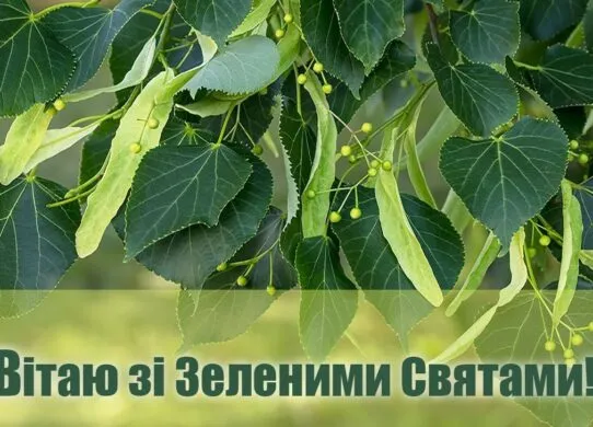 Трійця 2026: найкращі картинки, гарні листівки та відкритки до Зелених свят