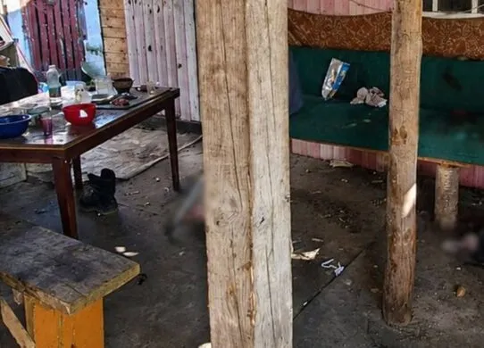 На Житомирщині чоловік ледь не вбив співмешканку та намагався це приховати