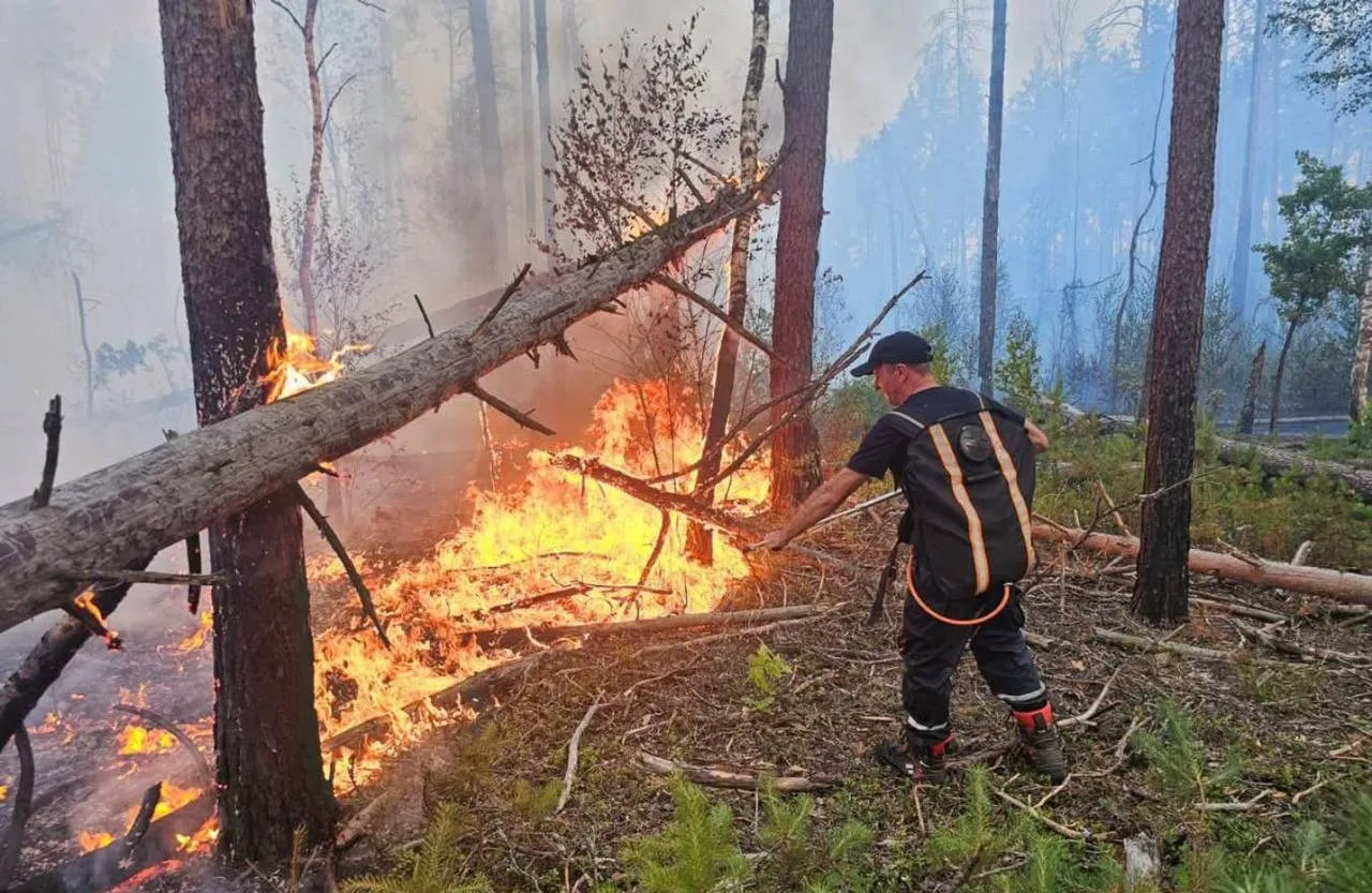 На Житомирщині намагаються приборкати велику лісову пожежу: чи є загроза