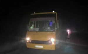 Смертельна ДТП на Житомирщині: маршрутка збила пішохода