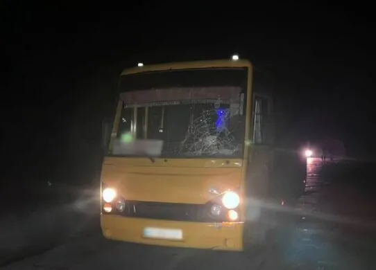 Смертельна ДТП на Житомирщині: маршрутка збила пішохода