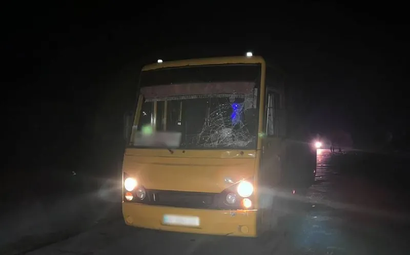 Смертельна ДТП на Житомирщині: маршрутка збила пішохода