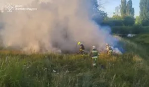 На Житомирщині за добу ліквідувала 7 масштабних пожеж сухостою