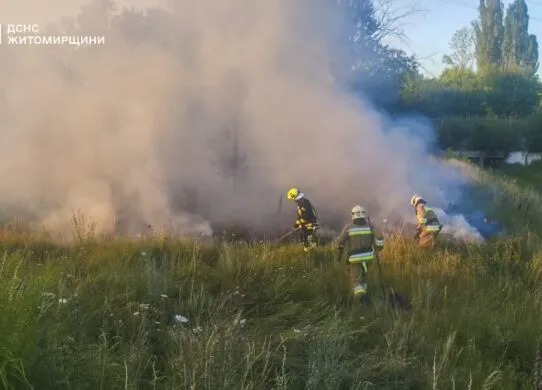 На Житомирщині за добу ліквідувала 7 масштабних пожеж сухостою