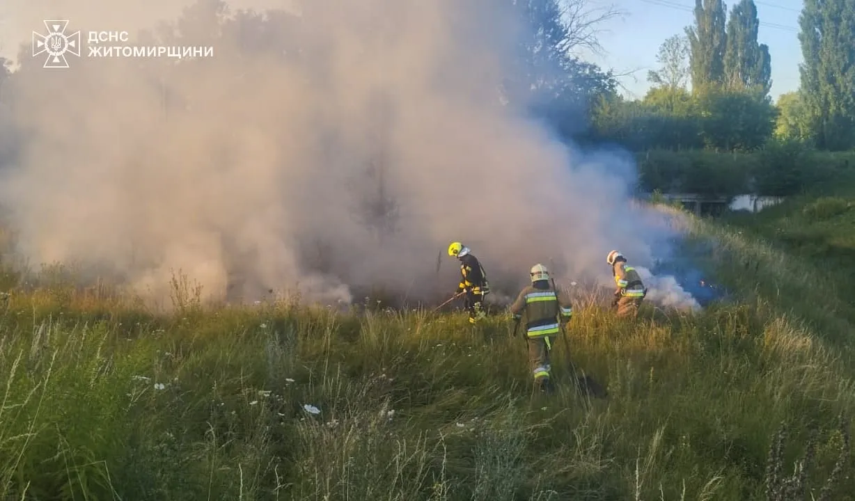 На Житомирщині за добу ліквідувала 7 масштабних пожеж сухостою