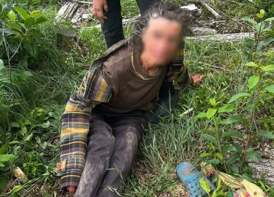 На Житомирщині знайшли зниклу пенсіонерку, яка блукала лісом 9 днів