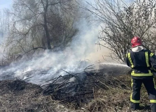 Масштабні займання через спеку та вітер: на Житомирщині палала суха трава