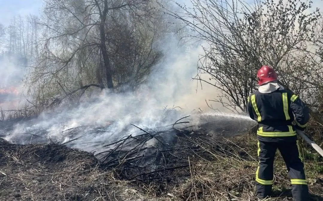 Масштабні займання через спеку та вітер: на Житомирщині палала суха трава