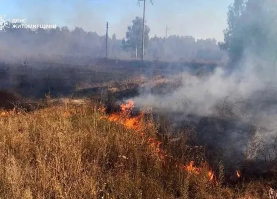 Понад 660 пожеж з початку року: на Житомирщині знову масово горить суха трава