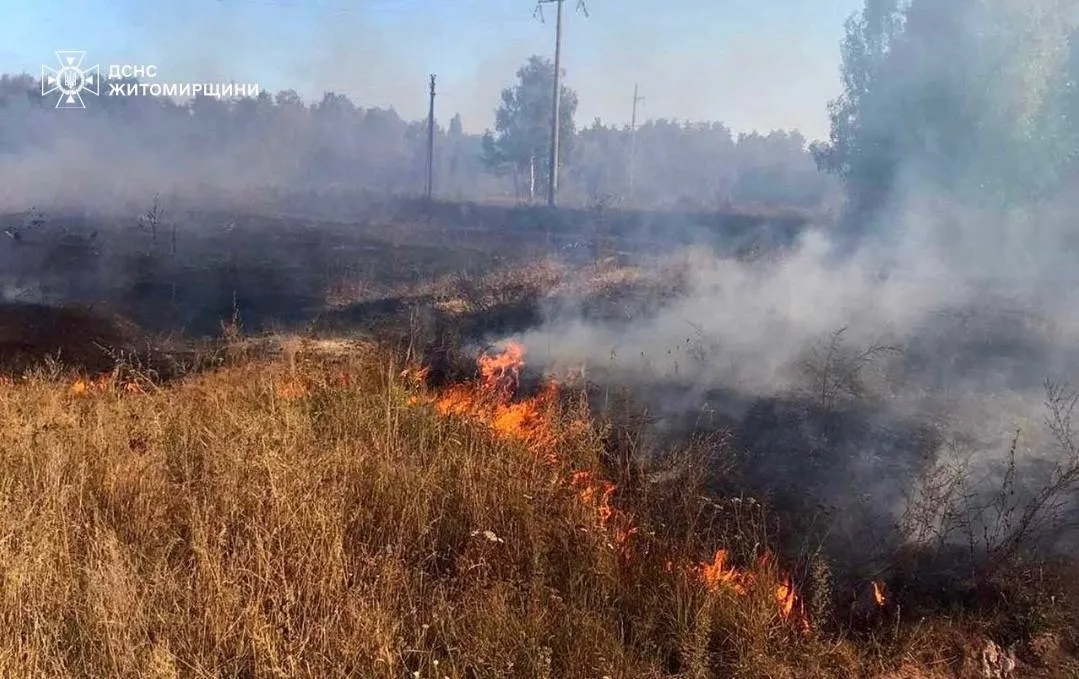 Понад 660 пожеж з початку року: на Житомирщині знову масово горить суха трава