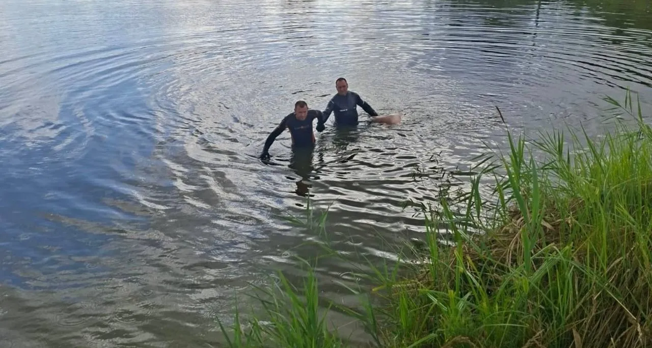 На Житомирщині водолази дістали з води тіло 25-річного хлопця: деталі
