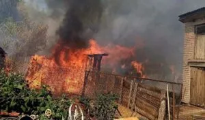 Через вітер вогонь пішов на хати: на Житомирщині ліквідували масштабну пожежу