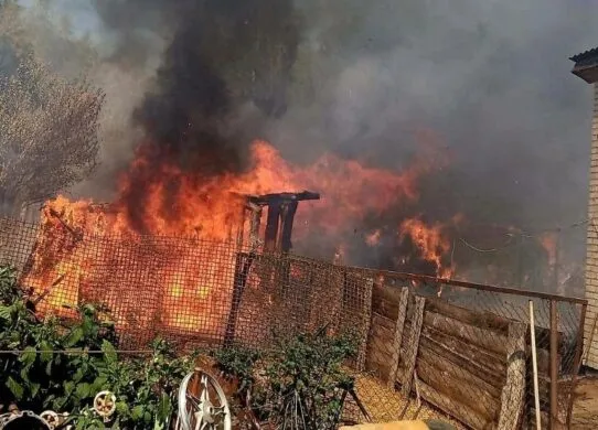 Через вітер вогонь пішов на хати: на Житомирщині ліквідували масштабну пожежу