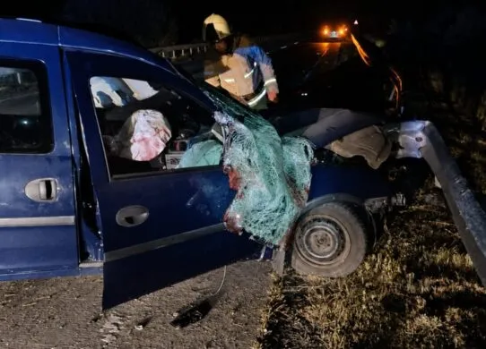 На Житомирщині в ДТП загинули двоє людей: тіло водія вирізали з понівеченого авто
