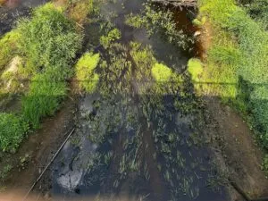 На Житомирщині екоінспектори виявили критичне обміління річки Уборть