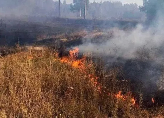 На Житомирщині жінка підпалила суху траву і отримала опіки
