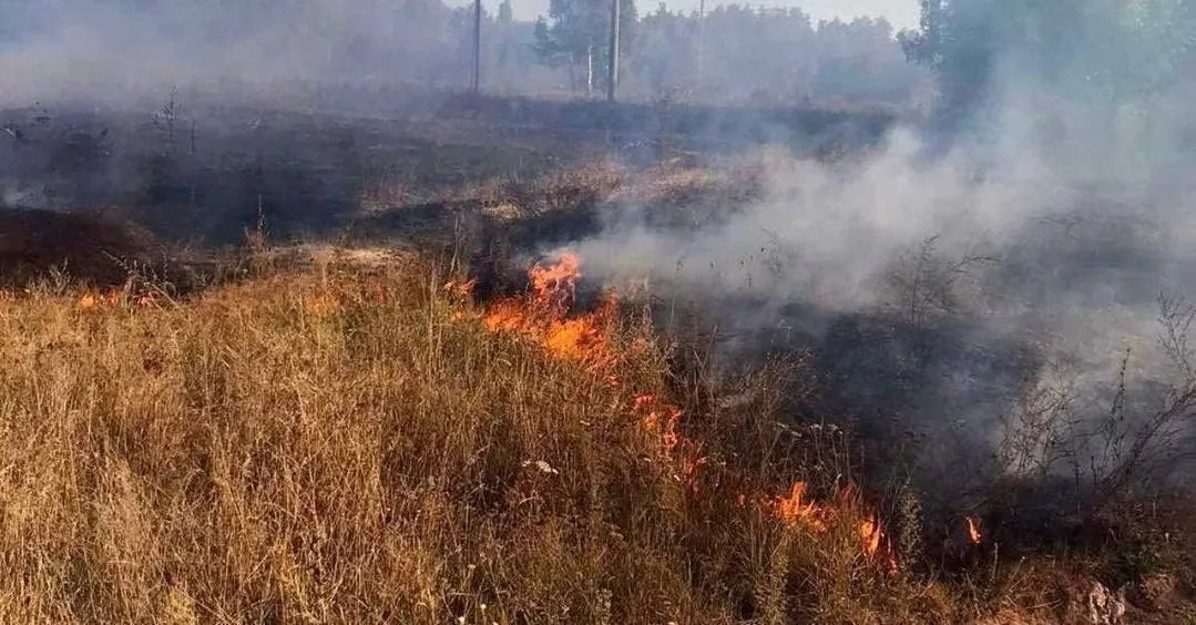 На Житомирщині жінка підпалила суху траву і отримала опіки