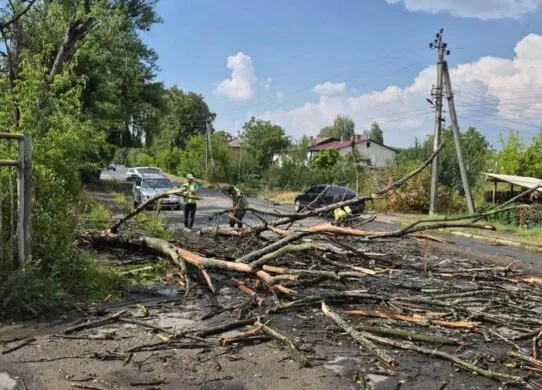 Зірвані дахи та обірвані дроти: наслідки негоди у Малині