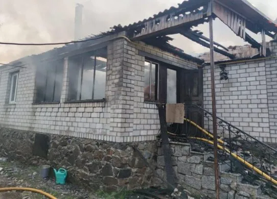 Удар блискавки спричинив пожежу під Житомиром: рятувальники витягли з вогню кота