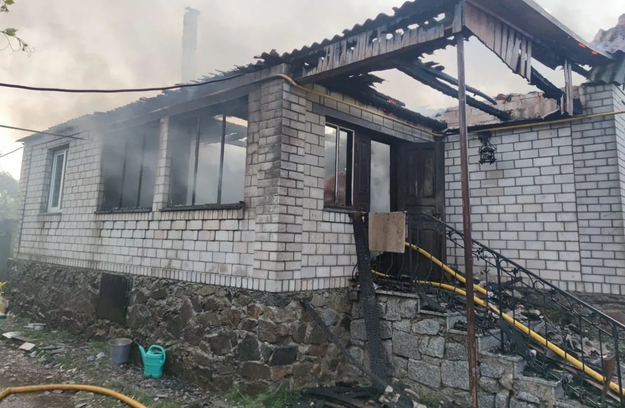 Удар блискавки спричинив пожежу під Житомиром: рятувальники витягли з вогню кота