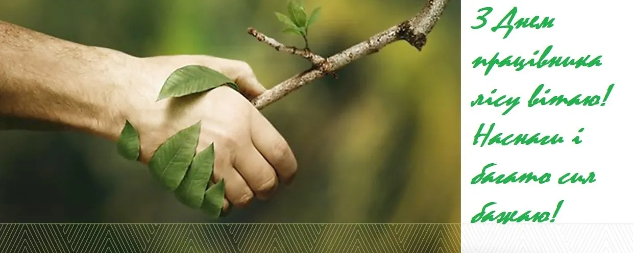День лісівника 2026: найкращі привітання, у прозі, своїми словами та короткі побажання