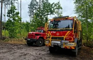 Пожежу в заповіднику "Древлянський" на Житомирщині гасили 13 днів