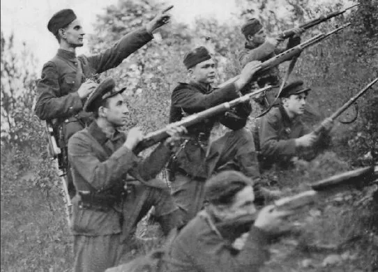 Хутір, з якого командували Поліссям: історія сабурівщини на Житомирщині