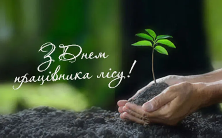 День лісівника 2026: найкращі привітання, у прозі, своїми словами та короткі побажання