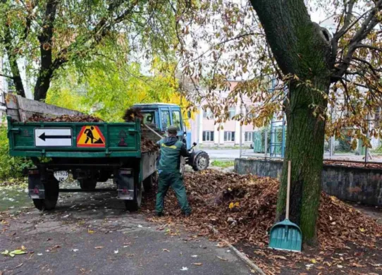 В Житомирі комунальники прибирають листя та висаджують кущі