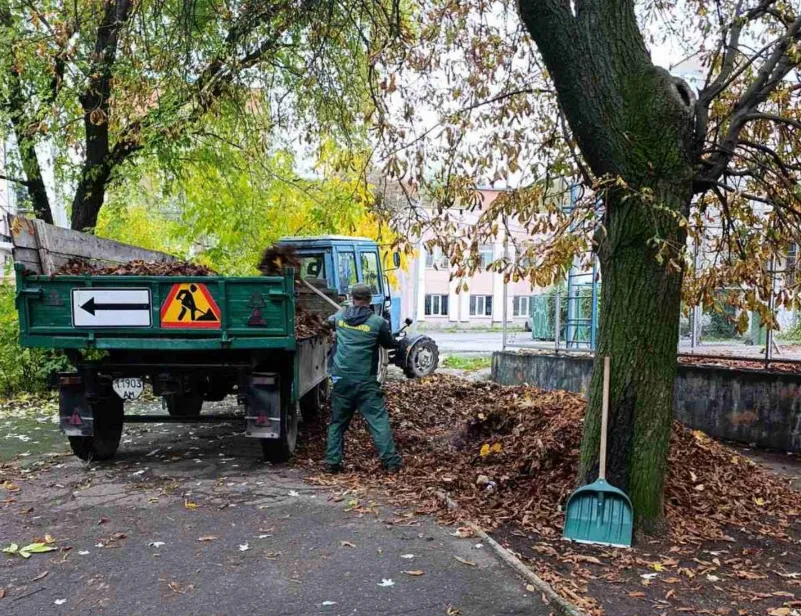 В Житомирі комунальники прибирають листя та висаджують кущі