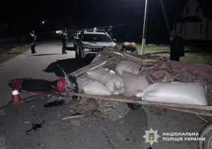 Мотоцикл влетів у віз: троє постраждалих у ДТП на Звягельщині