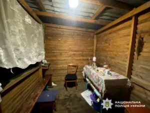 У Малині під час застілля чоловік вдарив ножем знайомого у живіт