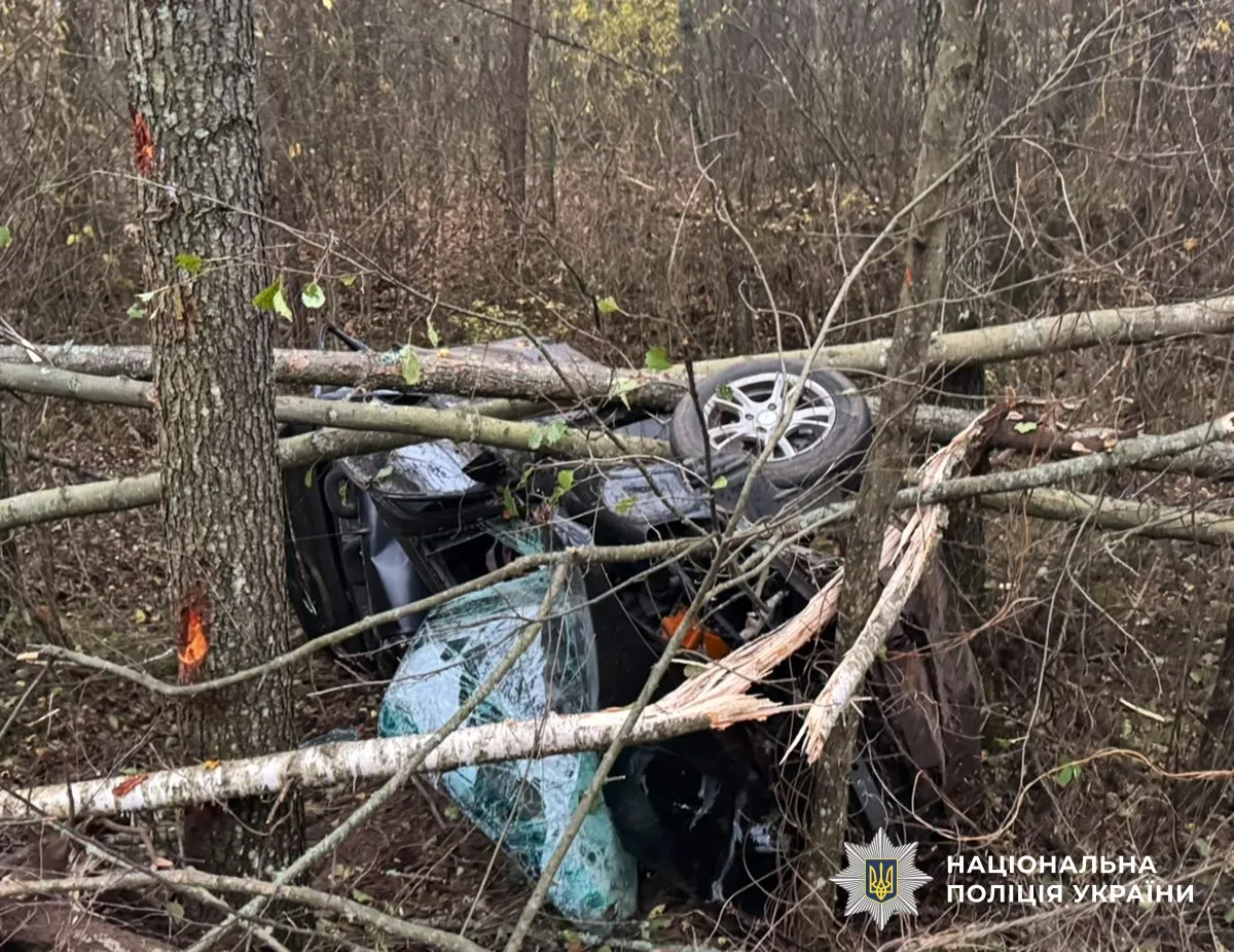 На Житомирщині нетвереза водійка вчинила ДТП, загинула 16-річна дівчина
